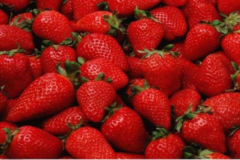 草莓属于浆果类吗 草莓属不属于浆果