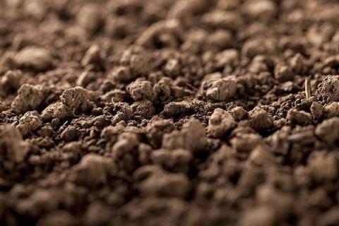 土壤肥力四因素是什么 土壤肥力四要素是什么