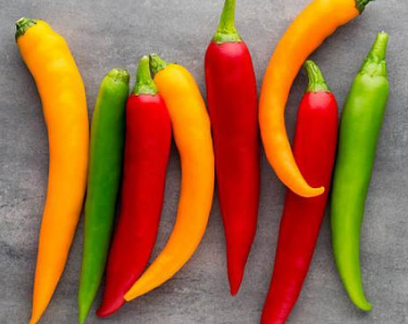 辣椒可跟什么农作物混种 辣椒与什么混种
