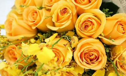 黄玫瑰和香槟玫瑰一样吗 黄玫瑰和香槟玫瑰有什么区别