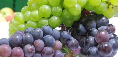 葡萄怎么家庭养殖 葡萄怎么家庭养殖的