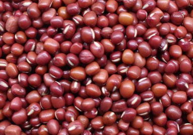 红小豆高产种植方法（红小豆高产种植方法视频）