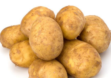 盆栽土豆的种植要点及养护方法