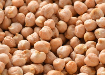 鹰嘴豆的高产种植技术 鹰嘴豆的高产种植技术有哪些