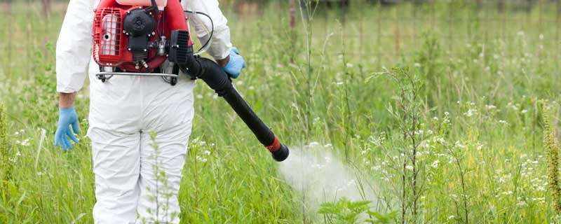 打过除草剂的喷雾器如何清洗（喷雾器打过除草农药用什么方法清洗）