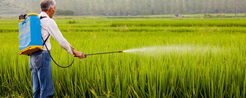 封闭除草剂什么时候打 封闭除草剂什么时候打好