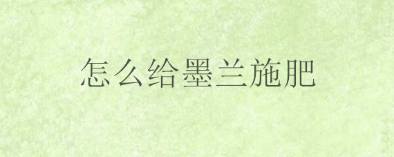 怎么给墨兰施肥 墨兰怎样施肥料