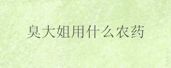 臭大姐用什么农药 治臭大姐用什么农药