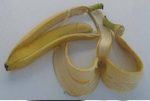 香蕉皮 香蕉皮属于什么垃圾分类