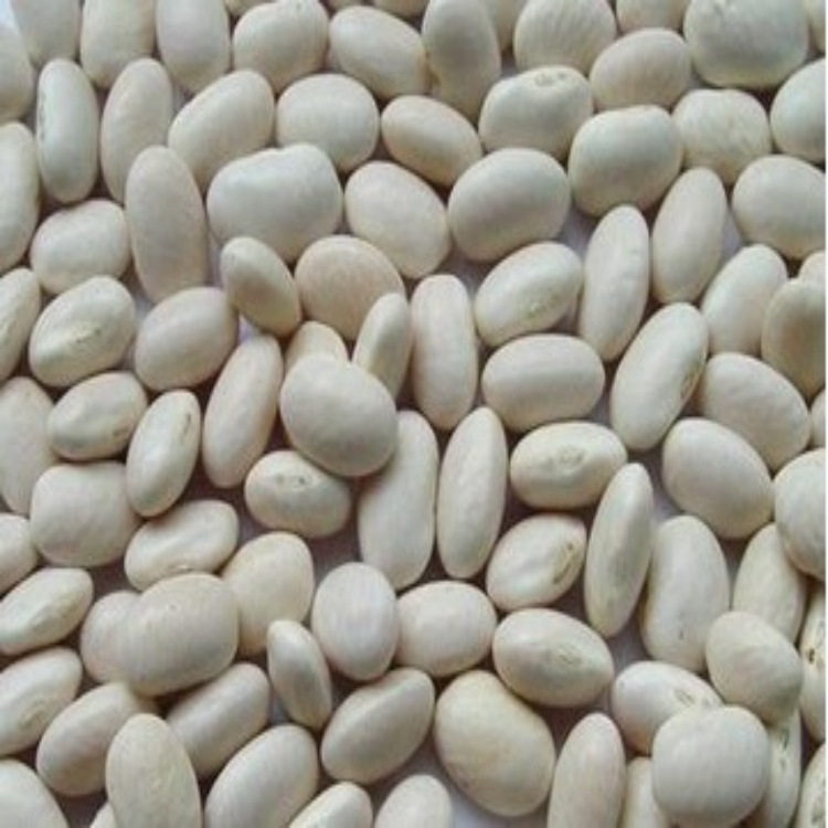 白芸豆与白扁豆的区别是什么呢 白芸豆和白扁豆是一回事儿吗?