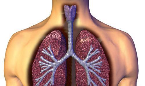 慢性阻塞性肺气肿 慢性阻塞性肺气肿最常继发于
