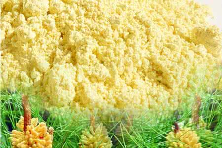松花粉的功效与作用及食用方法 松花粉的功效与作用及禁忌