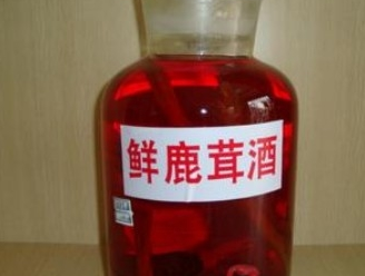 人参鹿茸酒的功效和作用是什么呢（人参鹿茸泡酒有什么功效和作用）