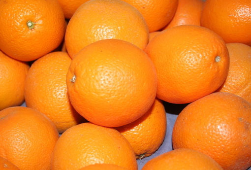 橙子 橙子英语