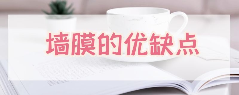 墙膜的优缺点（墙膜是什么材料）