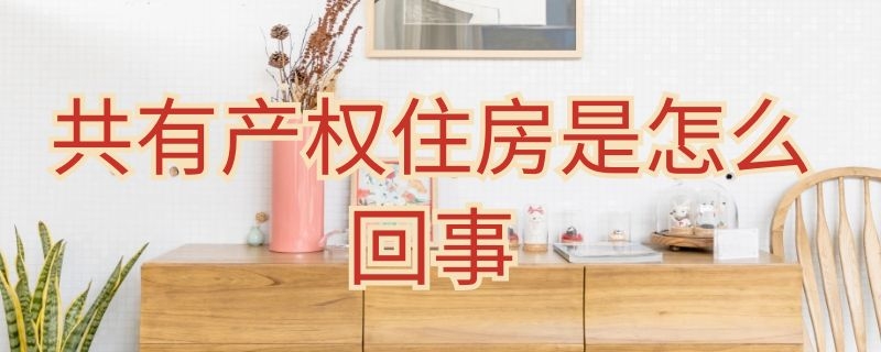 共有产权住房是怎么回事 共有产权住房的意思