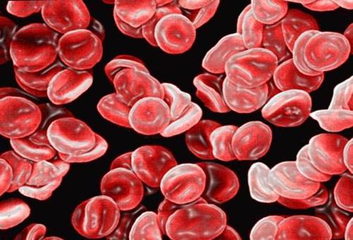 血红蛋白浓度偏低 血红蛋白浓度偏低的原因及危害
