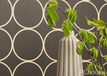 环保装饰材料选择方法（在室内设计中如何选择绿色环保的装饰材料?）