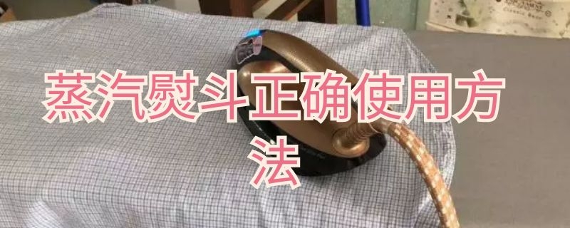 蒸汽熨斗正确使用方法（蒸汽熨斗正确使用方法视频）