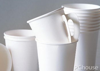 环保纸杯品牌（环保纸杯品牌排行榜）