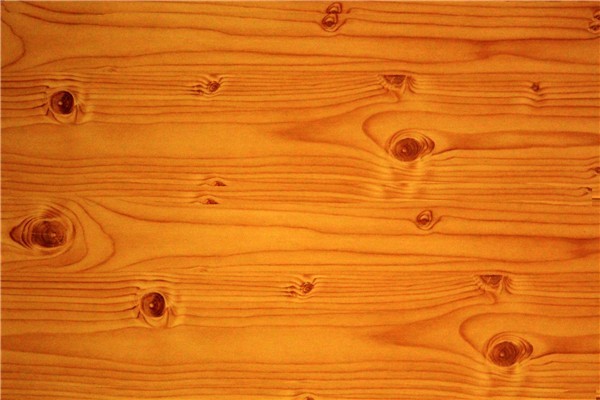 木地板受潮应急处理法有什么（木质地板受潮）