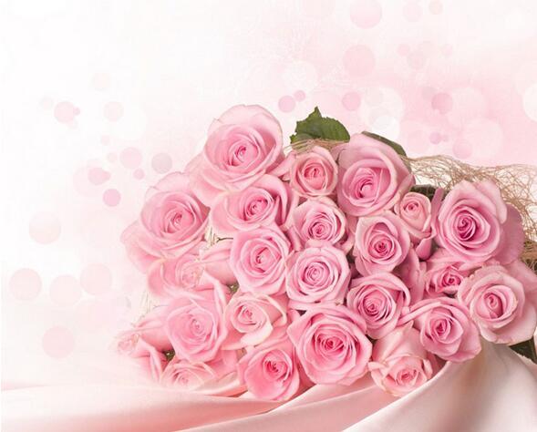 粉玫瑰花语是什么 粉玫瑰花语是什么意思6朵
