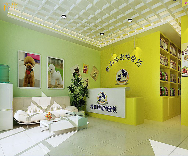 杭州宠物店怎么装修 宠物店装修大概需要多少钱呢