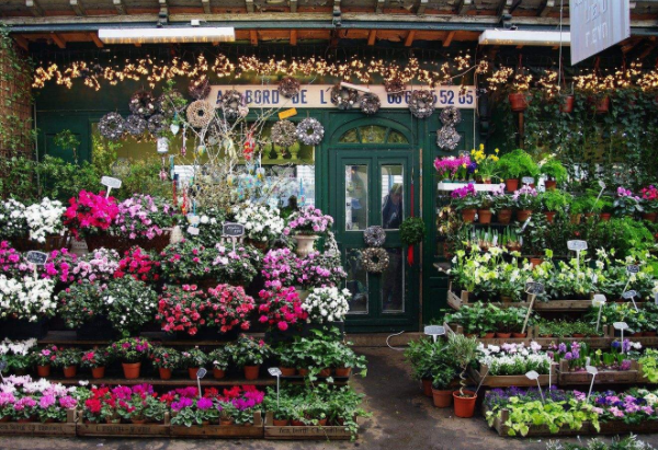 南京花店装修公司哪家好（南京花店装修公司哪家好一点）