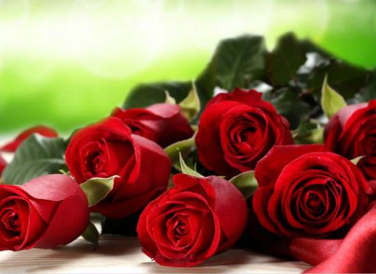 我爱你 就如那11朵玫瑰的含义