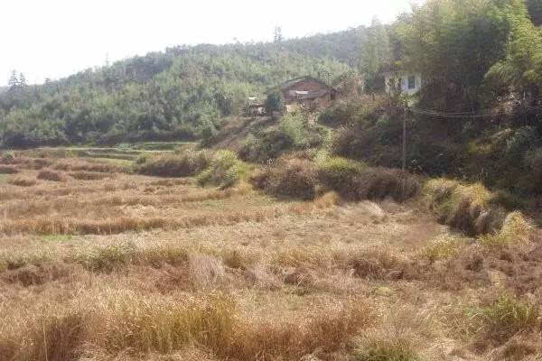 农村土地纠纷*有利的证据 农村土地纠纷怎么处理 农村土地纠纷找哪个部门解决