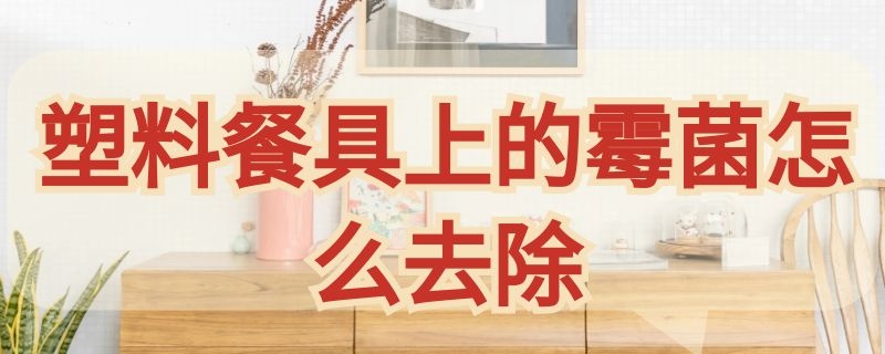 塑料餐具上的霉菌怎么去除