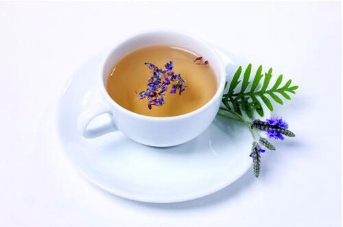 科普饮用玉兰花茶的作用以及方法