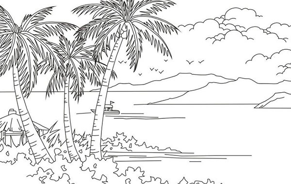 椰子树简笔画的分析介绍（椰子树简笔画简单）
