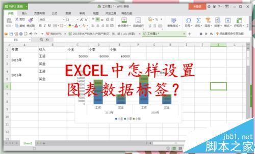 EXCEL图表数据怎么设置标签? excel图表数据怎么设置标签格式