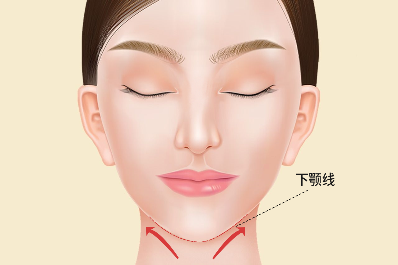 下颌线和下颚线的区别图片