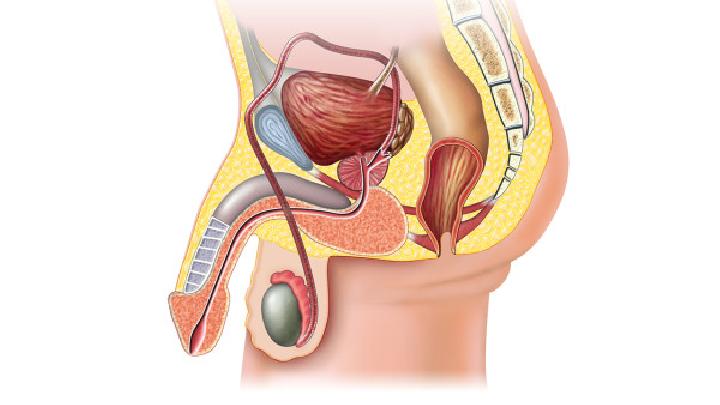 男性性紧张易勃起不坚怎么治 男人紧张会勃不起吗