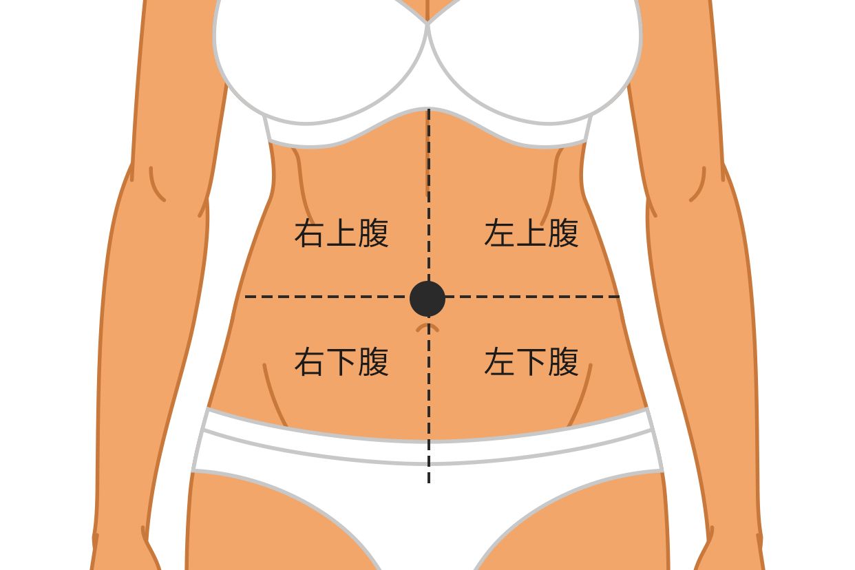 腹部分区四分法图片（腹部分区九分法和四分法的名称）