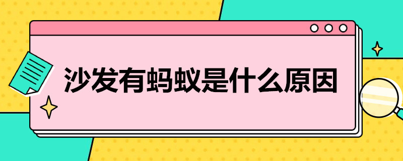 沙发有蚂蚁是什么原因 沙发上好多蚂蚁什么原因