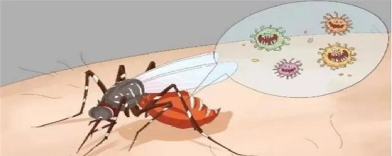 房间蚊子多有什么办法灭掉 房间蚊子多有什么办法灭掉吗