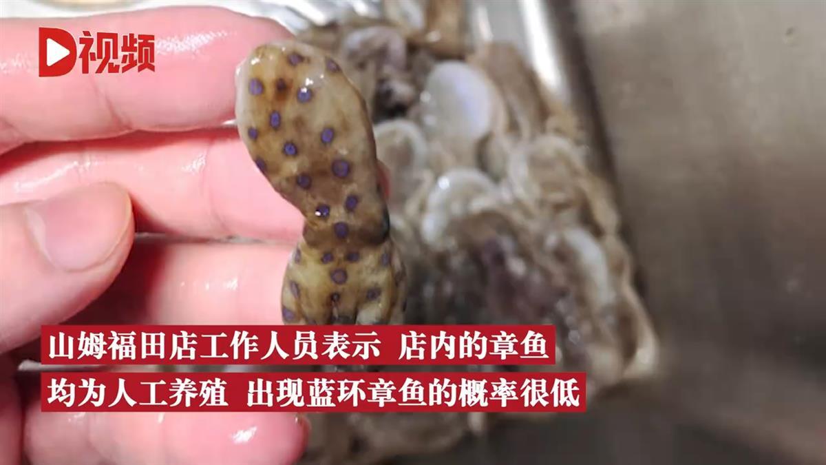 深圳网友称在山姆买到蓝环章鱼，生命安全面前别只说“概率”
