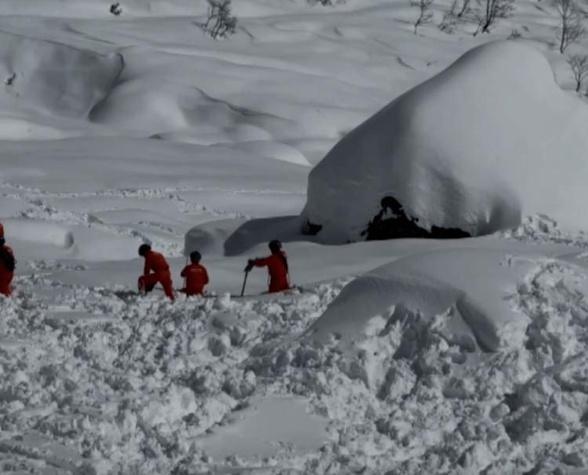 西藏林芝派墨公路雪崩遇难人数增至20人