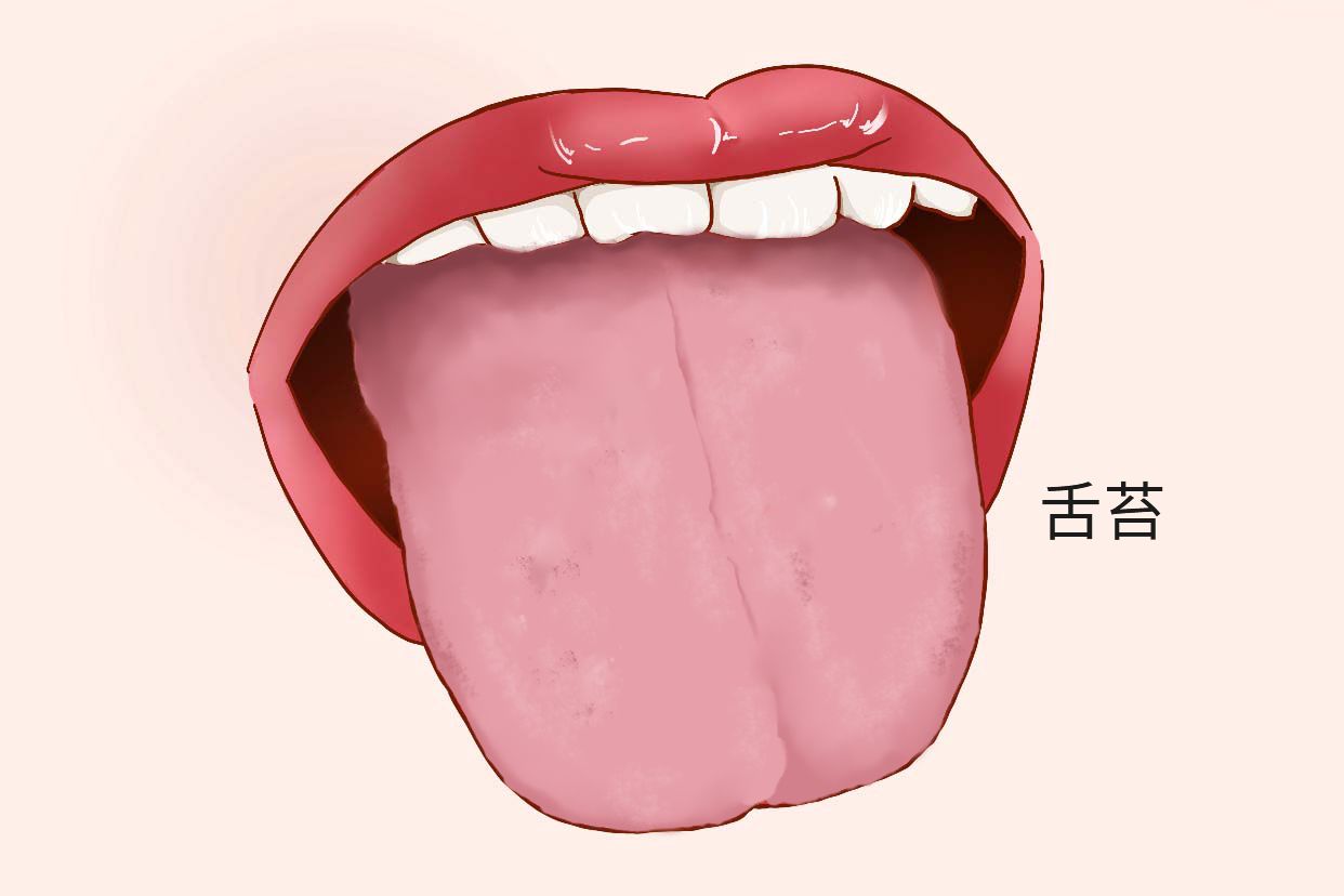 风寒咳嗽的舌苔图片（风寒咳嗽的舌苔是什么样子的）
