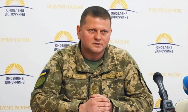 外媒：乌军总司令将继承的百万美元遗产捐给军队