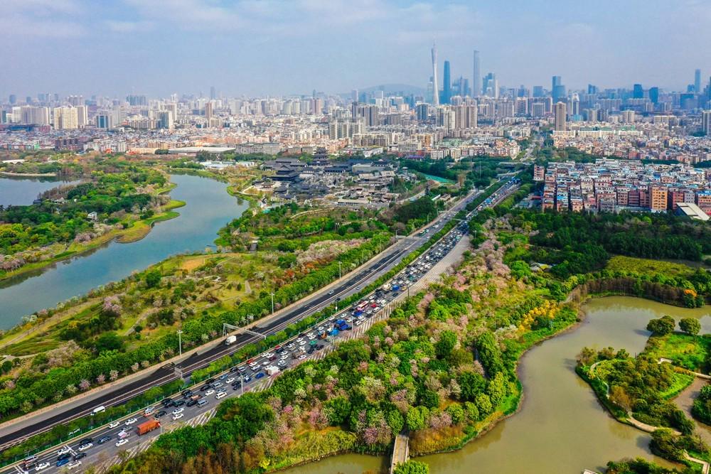 疯狂建大学的广东，开始“收割”了（广东拼命建大学）