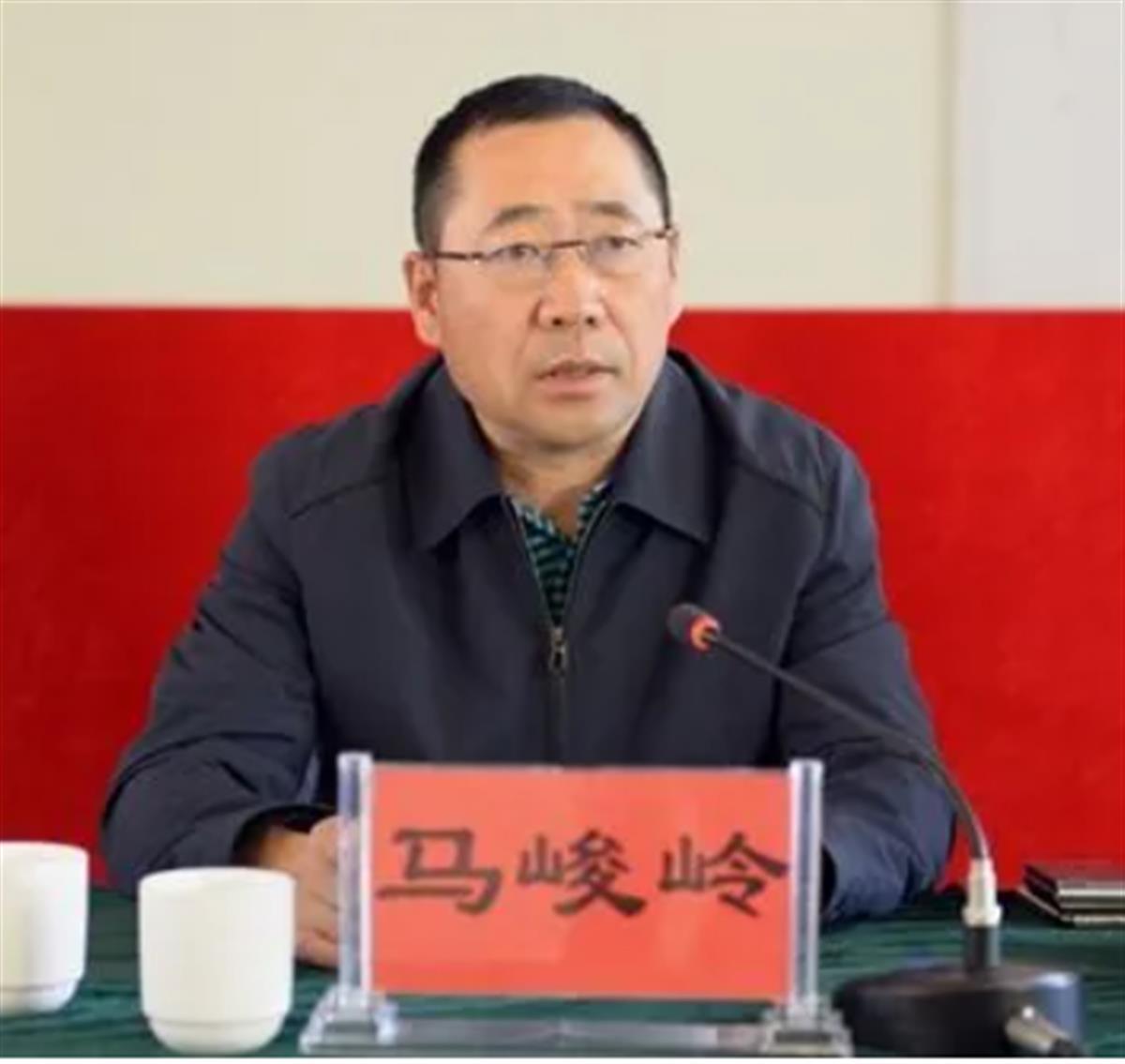 马峻岭被查，曾任丽江副市长兼公安局长，两天内两名丽江原副市长落马