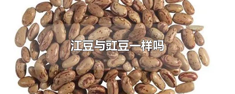 江豆与豇豆一样吗 豇豆怎么炒好吃又简单