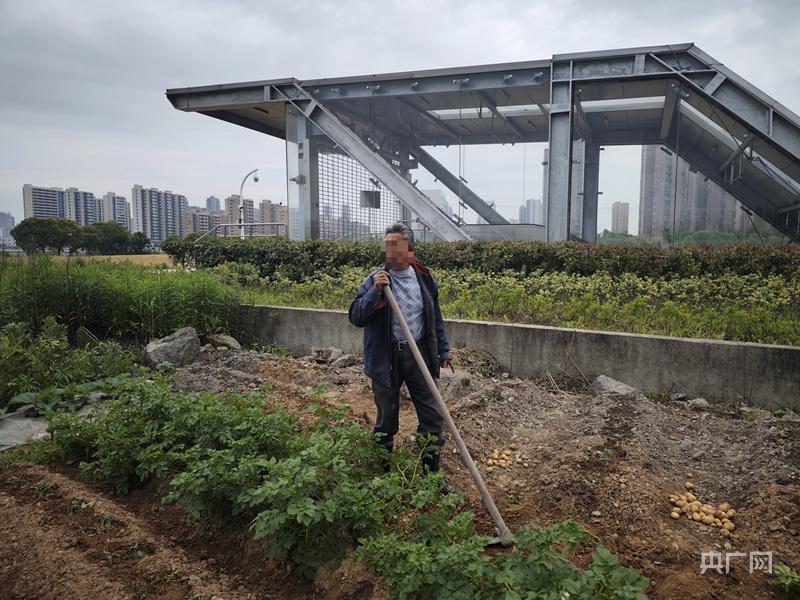 浙江宁波一地铁站建在基本农田里（宁波地铁地上段）