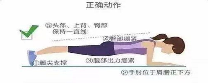 平板支撑减肚子吗 平板支撑减肚子吗知乎