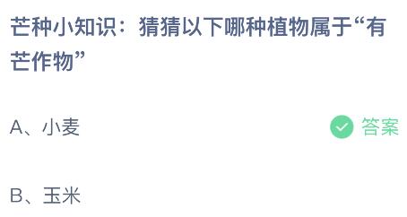 蚂蚁庄园今日答案最新6.6：以下哪种植物属于有芒作物？小麦还是玉米