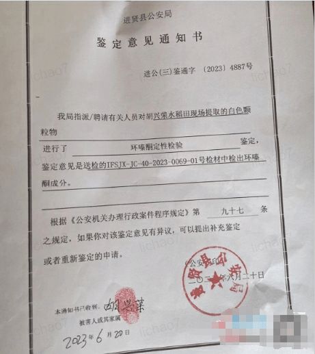江西进贤县农民反映稻田疑被投毒：近30亩枯死，警方介入 